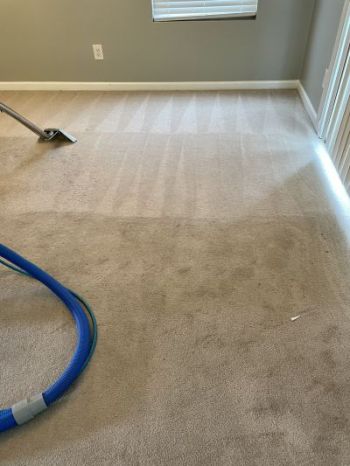 Carpet cleaning by K&D Carpet & Cleaning Services