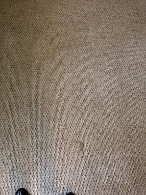 Before & After Carpet Stain Removal in Atlanta, GA (3)