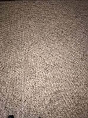 Before & After Carpet Stain Removal in Atlanta, GA (4)