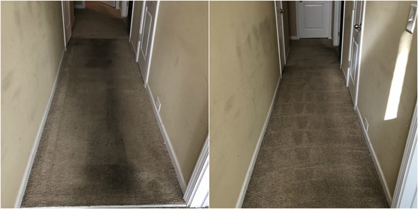 Before & After Carpet Cleaning in Hampton, GA (1)