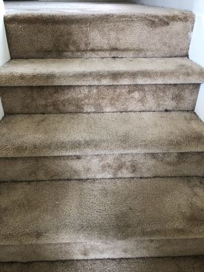 Before & after Carpet Cleaning in Atlanta, GA (3)
