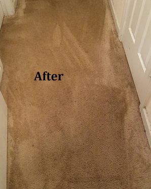 Before & After Carpet Stain Removal in Atlanta, GA (2)