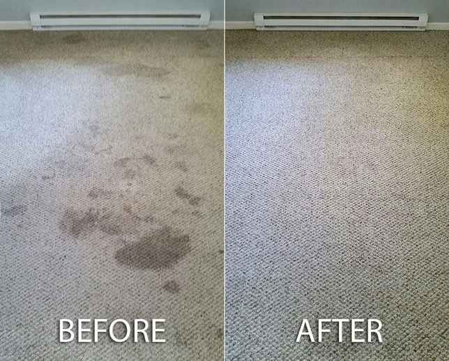 Carpet stain removal by K&D Carpet & Cleaning Services