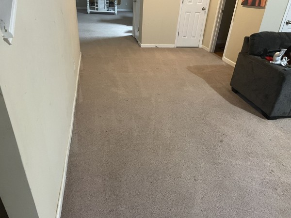 Carpet Cleaning in Jonesboro, GA (1)