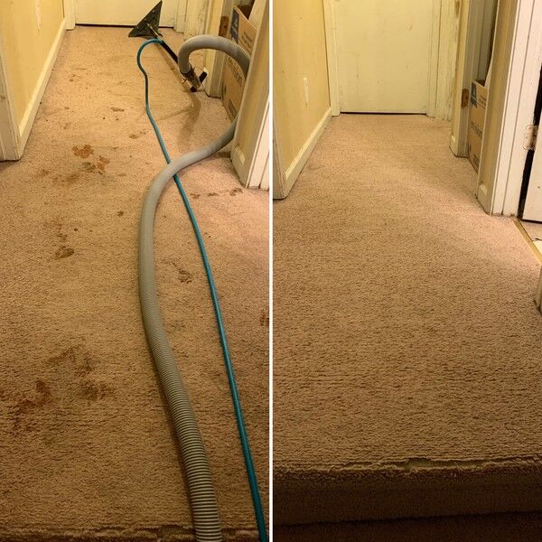 Before & After Carpet Stain Removal in Atlanta, GA (1)