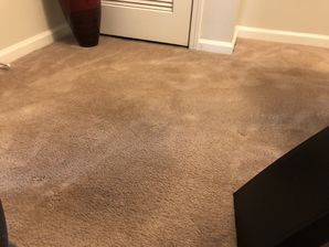 Before & After Carpet Cleaning in Atlanta, GA (1)