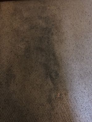 Before & After Carpet Stain Removal in Atlanta, GA (1)