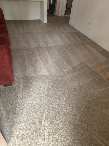 Carpet Cleaning in Decatur, GA (1)