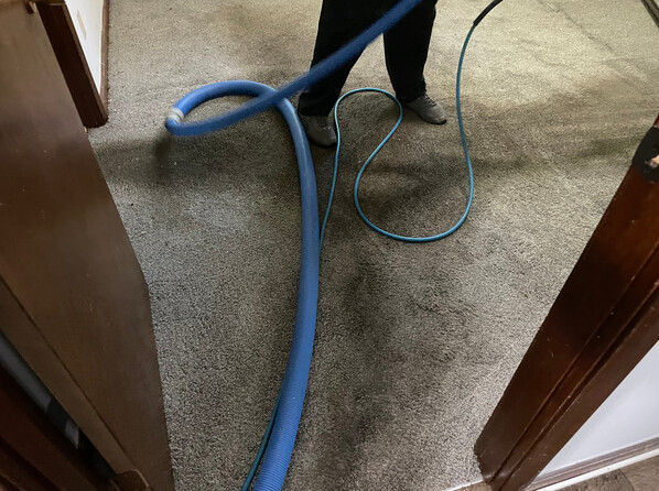 Car Carpet Cleaning in Newnan, GA